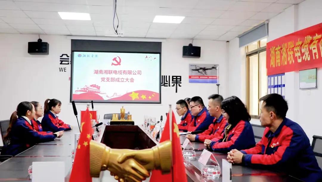 新征程 | 熱烈祝賀湖南湘聯(lián)電纜有限公司黨支部正式成立！
